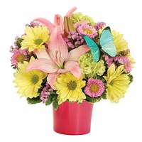 BF577-11KM_red_(002)