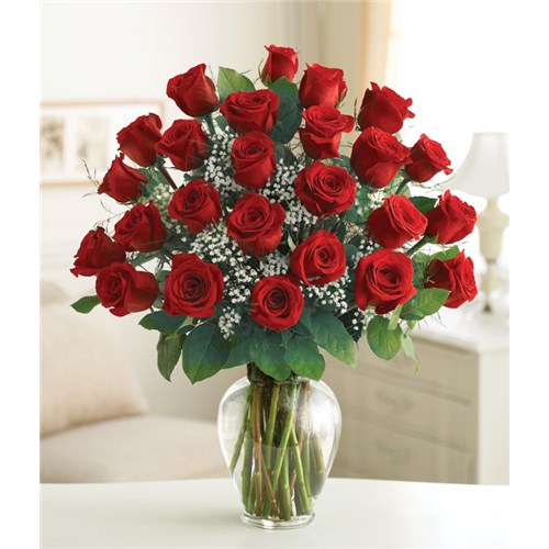 18F_Elegance_2_DZ_Red_Rose_1122rd_LG