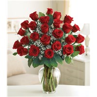 18F_Elegance_2_DZ_Red_Rose_1122rd_LG